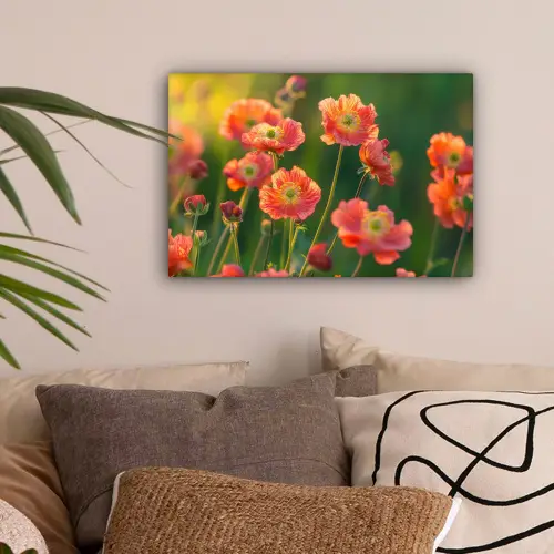 Bloemenveld - Zonnestralen - Oranje canvas 2cm klein -sfeer1