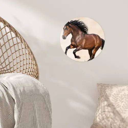 Paard - Galop - Energie Wandcirkel behangsticker klein -sfeer4