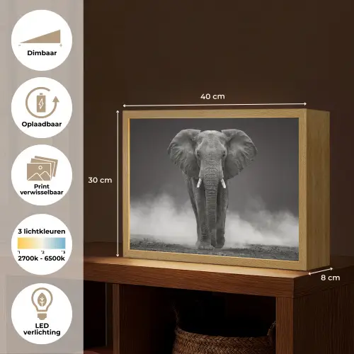 Olifant - Zwart - Wit - Rook Light Box met batterij (Wandlamp) middel -USP_websiteoverzichtNL