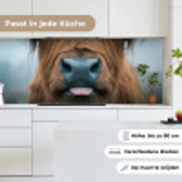 Schotse hooglander - Neus - Bruin keuken achterwand 2 middel -sfeer4_DE