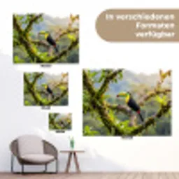 Toekan - Jungle - Natuur - Kleurrijk tuinposter los doek klein -Xsfeer9_DE