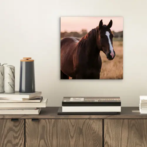 Paard - Zonsondergang - Bruin aluminium wit klein -sfeer1