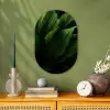 Bladeren - Schaduw - Groen - Textuur Wandcirkel Ovaal Forex klein -sfeer2