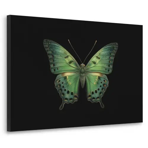 Vlinder - Groen - Diepte Textielframe zwart klein -3d