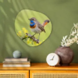 Vogel - Tak - Natuur - Kleurrijk Wandcirkel Organisch Forex 3mm klein -sfeer2