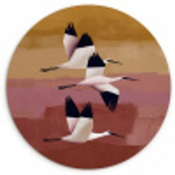 Vogels - Snavel - Abstract Wandcirkel kunststof plaat 5mm dik klein -3d