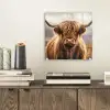 Schotse hooglander - Landschap - Dier plexiglas 5mm klein -sfeer1