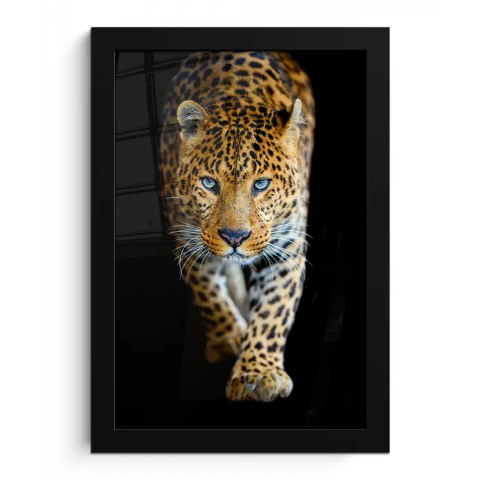 Luipaard - Dieren - Portret - Wilde dieren - Zwart fotolijst zwart zonder passe partout klein -3d