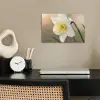 Narcis - Bloem - Minimalistisch poster papier klein -sfeer1