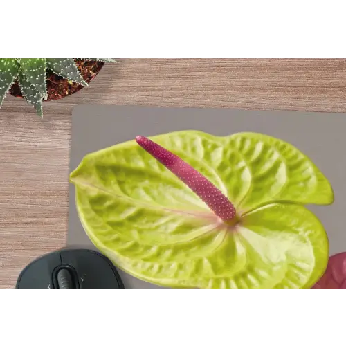 Planten - Anthurium - Groen - Roze muismat rubber klein -closeup