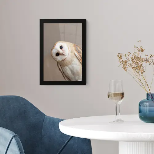 Uil - Bruin - Wit fotolijst zwart zonder passe partout klein -sfeer4