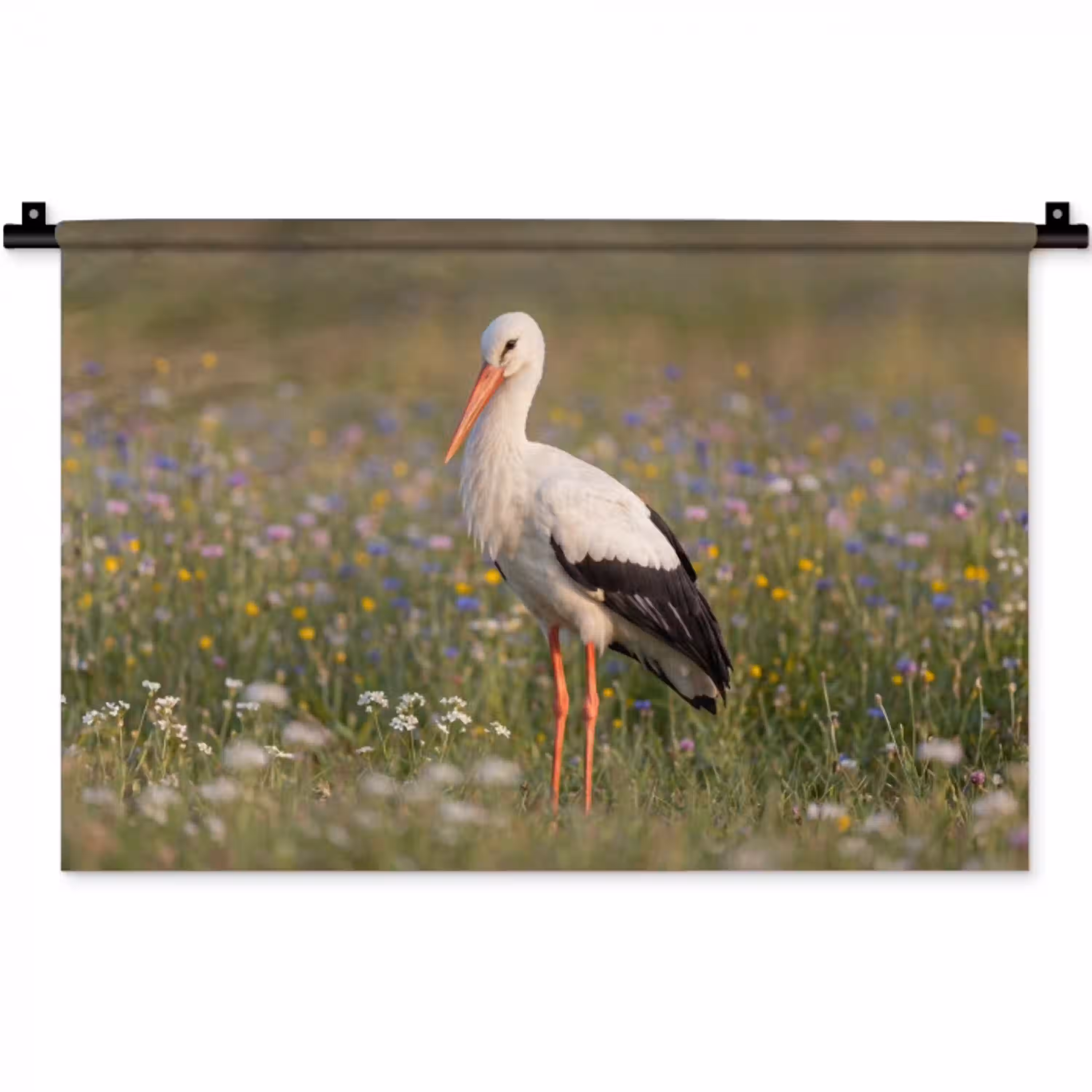 Ooienvaar - Bloemen - Weide - Kleurrijk Wandkleed katoen klein -zz3d