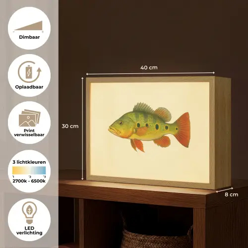 Schubben - Vis - Groen - Illustratie Light Box met batterij (Wandlamp) middel -USP_websiteoverzichtNL