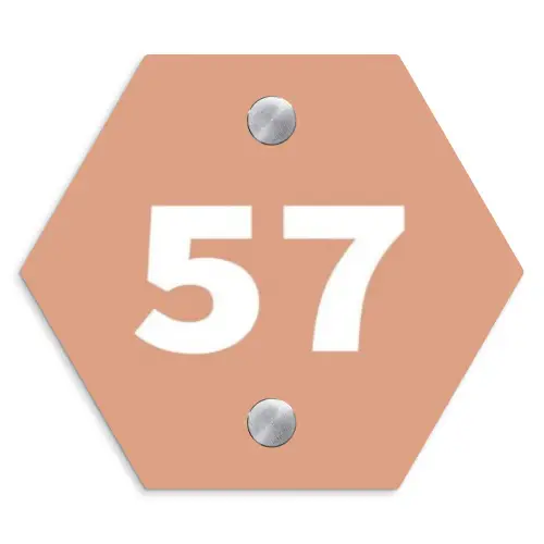 Zalmroze - Traditioneel Naambord Hexagon klein -3d
