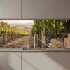 Druiven - Wijngaard - Zonlicht keuken achterwand 2 middel zz_3dshopping