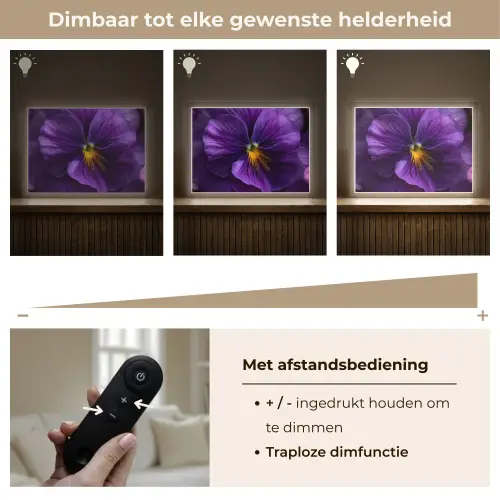 Paars - Viool - Diepte Light Box met batterij (Wandlamp) middel -USP_dimbaarNL