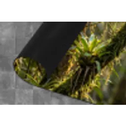 Quetzal - Jungle - Natuur - Groen Keukenloper - keukenmat middel -closeup