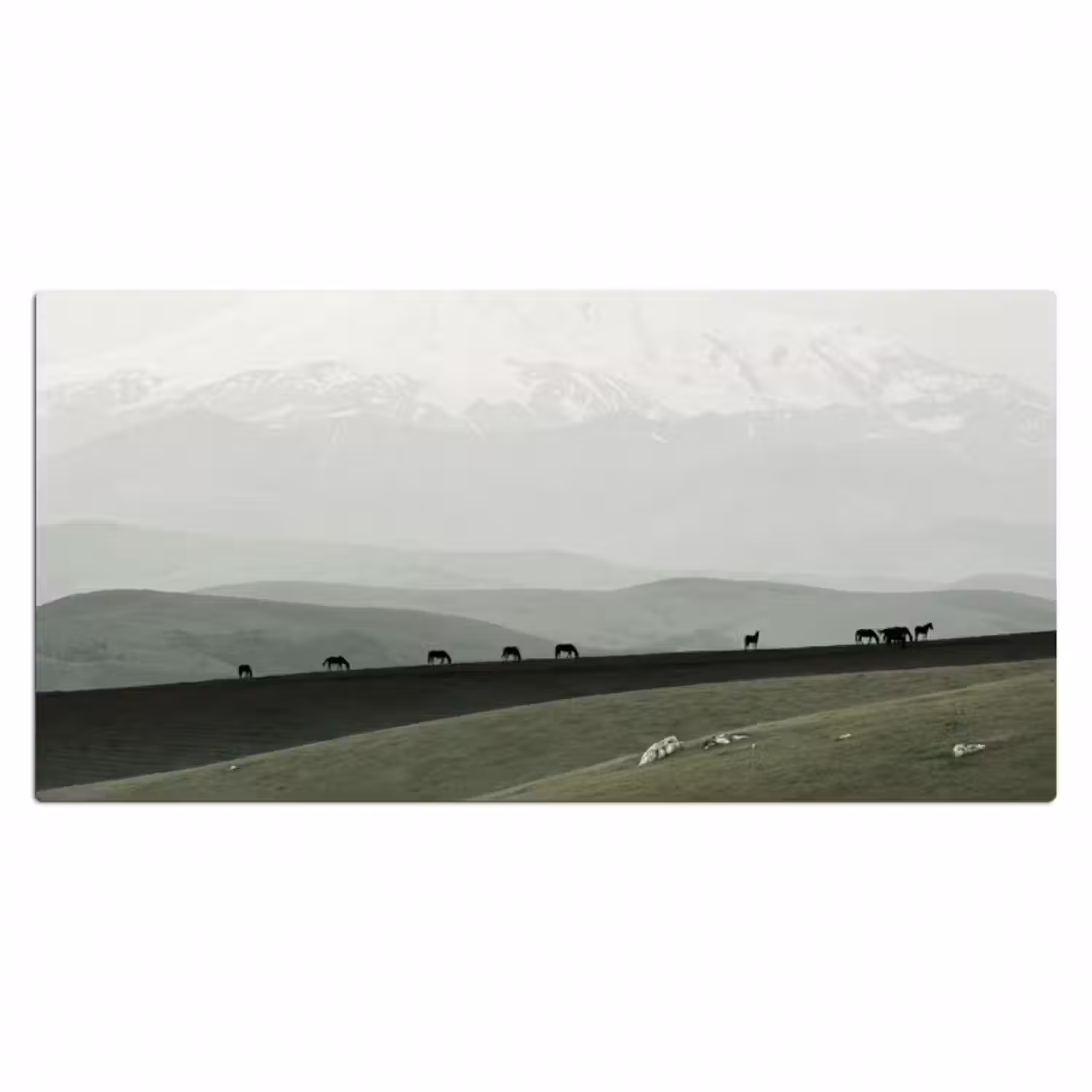 Schreibtischunterlage - Grau - Berg - Pferde