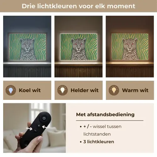 Panter - Zebrapatroon - Groen Light Box met batterij (Wandlamp) middel -USP_lichtkleurNL