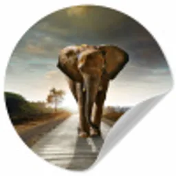 Olifant - Weg - Dieren - Zonsondergang - Landschap Wandcirkel behangsticker klein -3d
