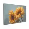 Zonnebloemen - Geel - Wazig canvas 2cm klein -z3d