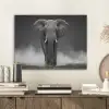 Olifant - Zwart - Wit - Rook PET vilt klein -sfeer1