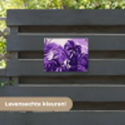 Bladeren - Paars - Tropisch - Abstract tuinposter los doek klein -sfeer3