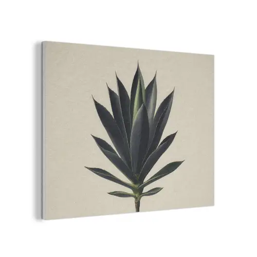 Agaveplant - Symmetrisch - Groen PET vilt klein -3d