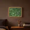 Groen - Bladeren - Kartel - Zonlicht Light Box met batterij (Wandlamp) middel -sfeer4