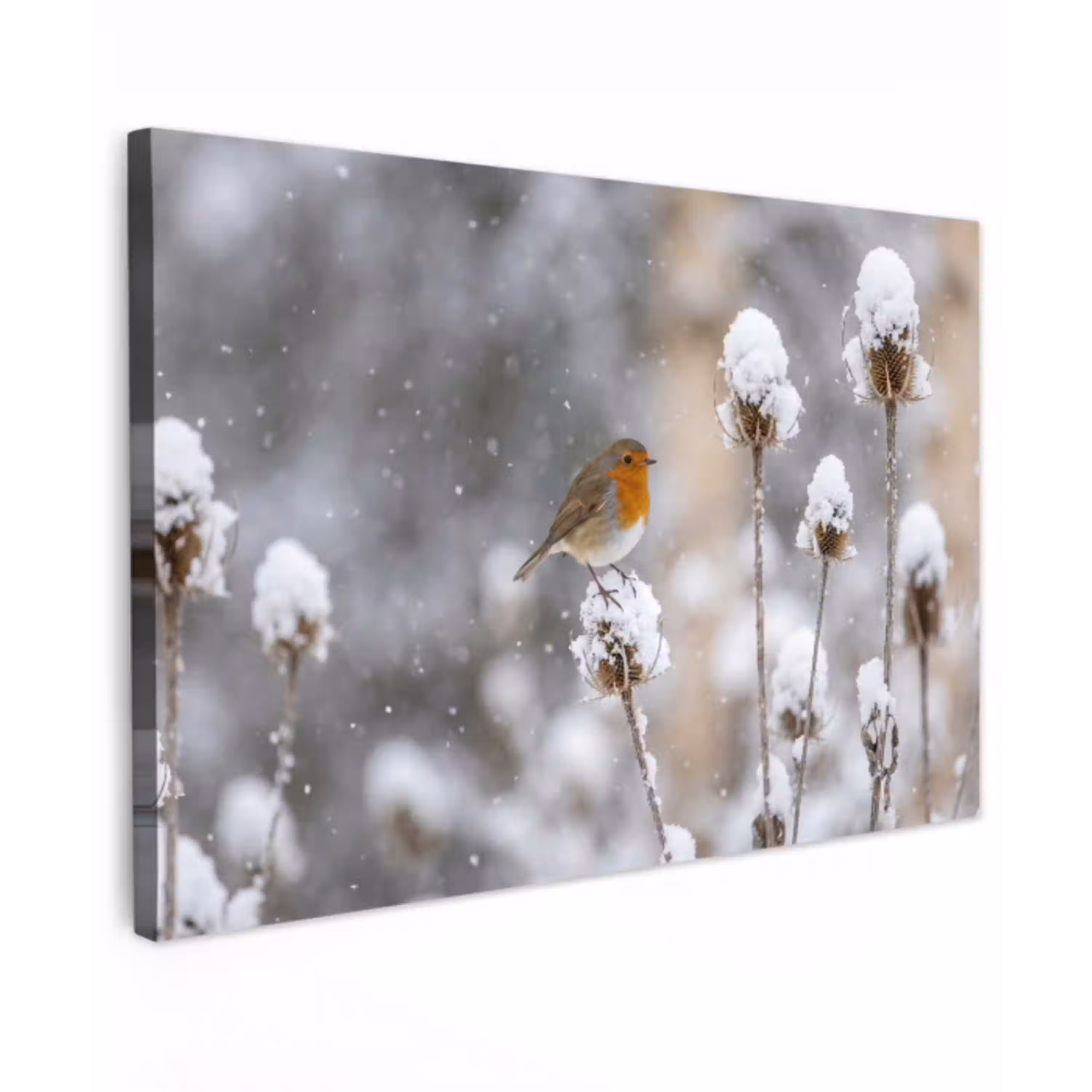 Roodborstje - Gedroogde bloem - Sneeuw - Winter - Vertederend Tuinposter op houten frame 2 cm dik klein -3d