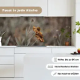 Zonnehoed - Droogbloemen - Geel - Warm keuken achterwand 2 middel -sfeer4_DE