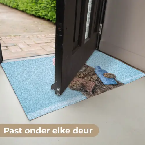 Kat - Handdoek - Washand - Zeep Deurmat klein -USP_NL
