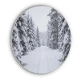 Bos - Winter - Sneeuw - Pad - Natuur Akoestische PET Vilt - Rond klein -3d