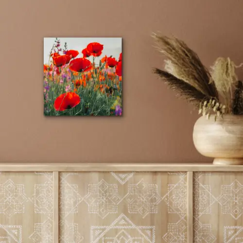 Klaproos - Bloemen - Rood - Paars - Weide aluminium wit klein -sfeer4