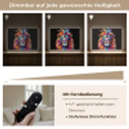 Leeuwen - Kleurrijk - Zwart - Dieren Light Box met batterij (Wandlamp) middel -USP_dimbaarDE
