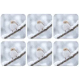 Vogeltje - Sneeuw - Tak - Winter - Zacht onderzetter kurk middel -zkaufland3dotto