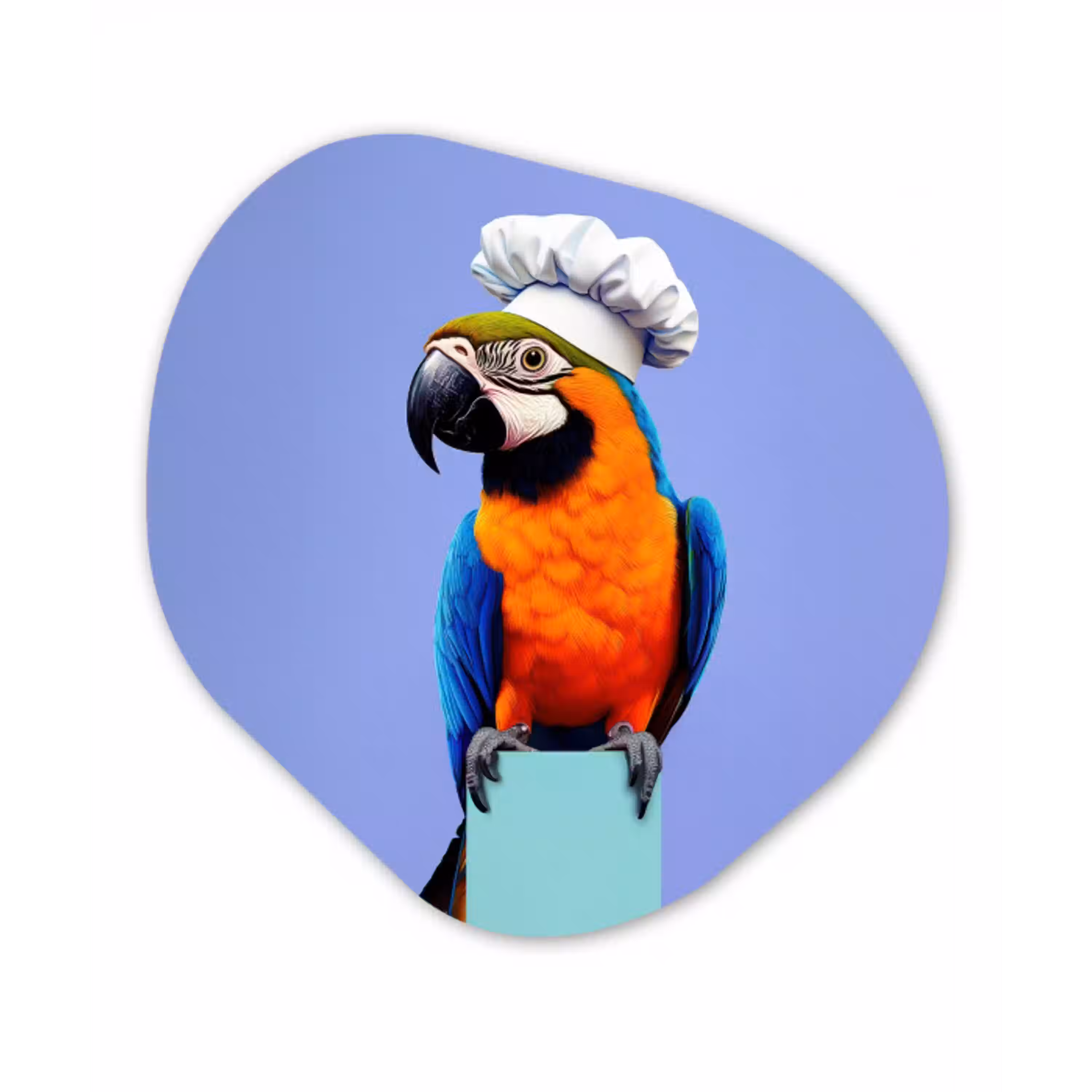 Papegaai - Koksmuts - Vogel - Leuk Wandcirkel Organisch Forex 3mm klein -3d