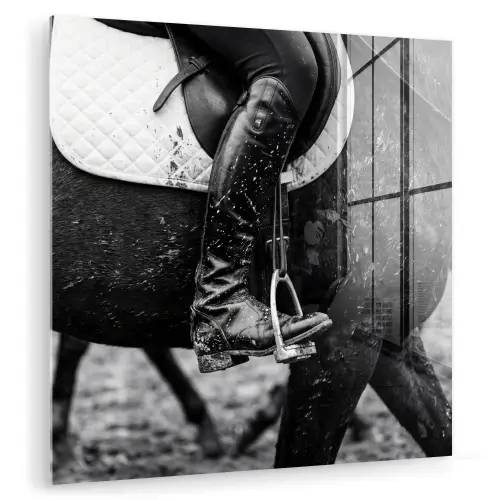 Paard - Sport - Zwart - Wit plexiglas 5mm klein -zzzproduct_nieuw