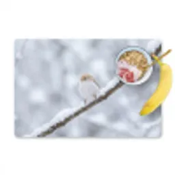 Vogeltje - Sneeuw - Tak - Winter - Zacht Placemat vinyl groot -zzzproduct_Kitchenyeah-website