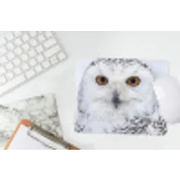 Sneeuwuil - Oog - Wildlife - Wit muismat rubber klein -witbureau