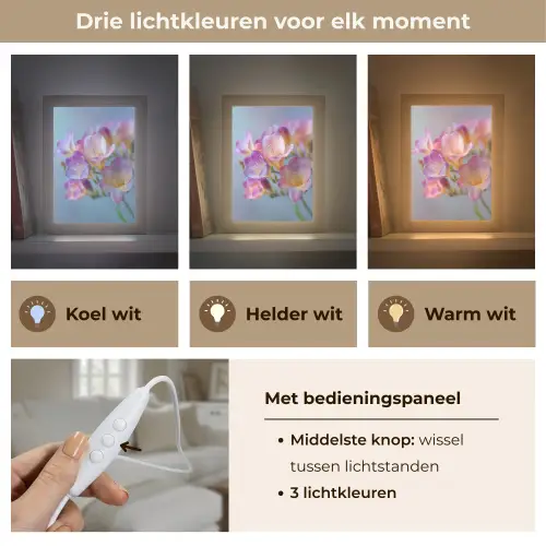 Bloemen - Paars - Overloop - Meeldraden Light Box met kabel (Tafellamp) klein -USP_lichtkleurNL