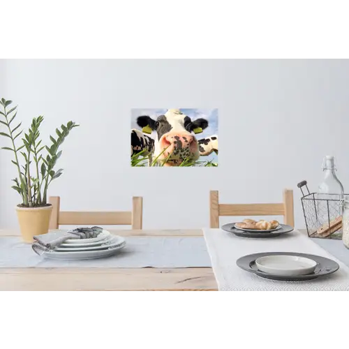 Koe - Boerderij - Gras - Dieren Muursticker klein -eettafel