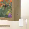 Klaproos - Bloemen - Rood - Paars - Weide Light Box met batterij (Wandlamp) middel -USP_websiteoplaadbaarNL