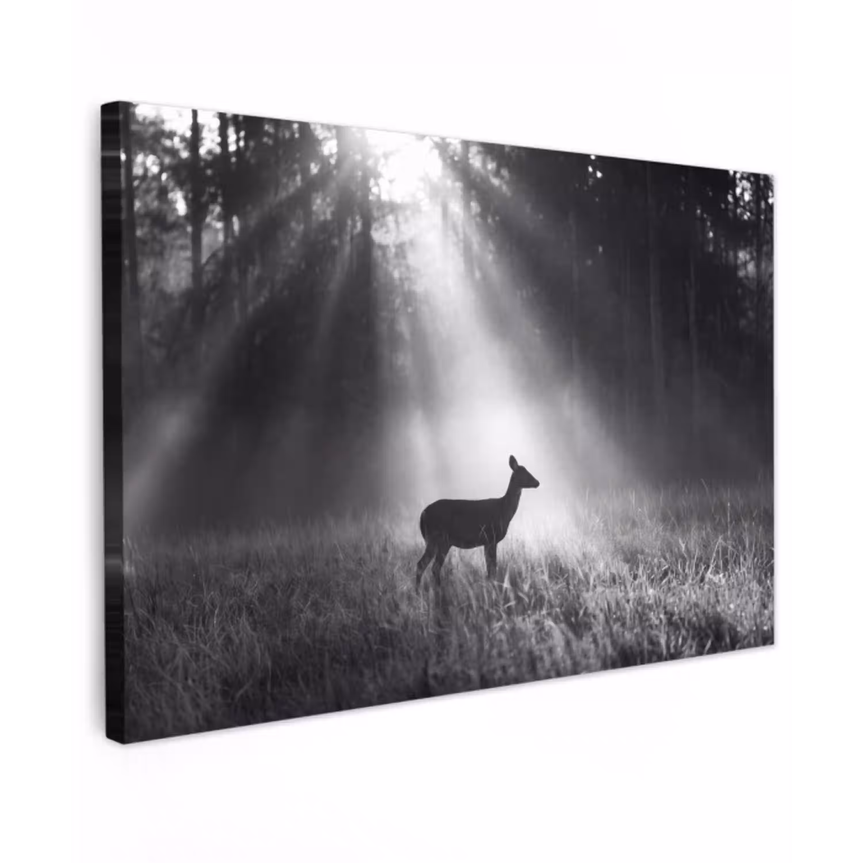 Hert - Bos - Zonnestralen - Zwart-wit - Natuur Tuinposter op houten frame 2 cm dik klein -3d