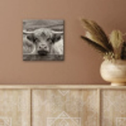 Schotse hooglander - Zwart - Wit - Hout aluminium wit klein -sfeer4