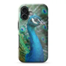 Pauw - Veren - Blauw Toughcase MagSafe Apple iPhone 17 klein -3d