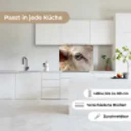 Schaap - Oog - Wit keuken achterwand 2 middel -sfeer4_DE