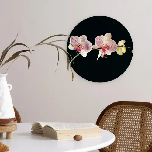 Orchidee - Bloemen - Zwart - Roze - Knoppen Wandcirkel kunststof plaat 5mm dik klein -sfeer4