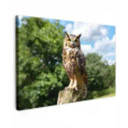 Uil - Boomstronk - Bos - Lucht Tuinposter op houten frame 2 cm dik klein -3d