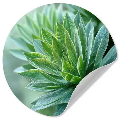 Blad - Plant - Groen - Textuur Wandcirkel behangsticker klein -3d
